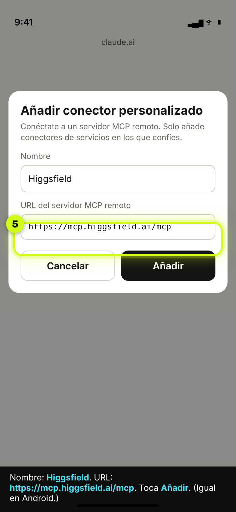 Cuadro Añadir conector personalizado con el nombre Higgsfield y su dirección
